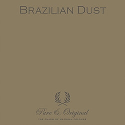 Brazilian Dust